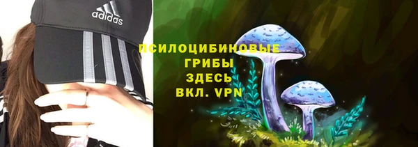 шишки Армянск