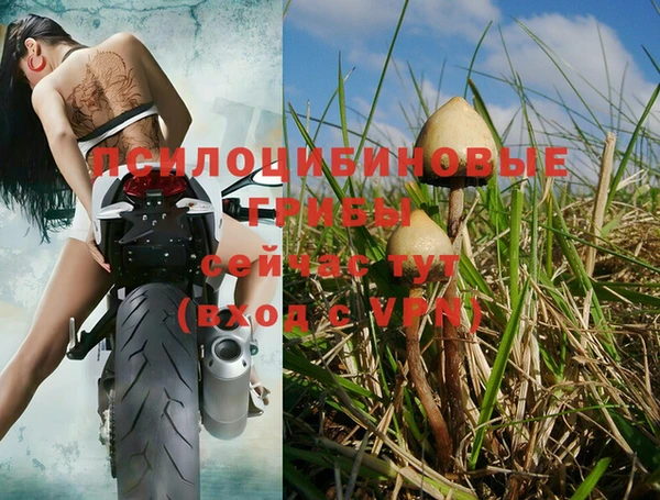 кокаин колумбия Аркадак